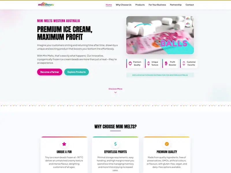 Mini Melts website homepage design concept